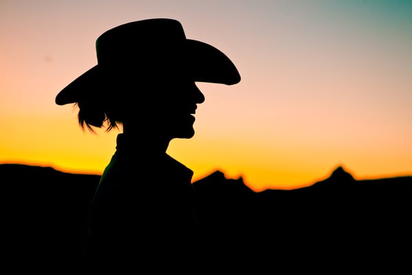 Red Cliffs Lodge Moab by null