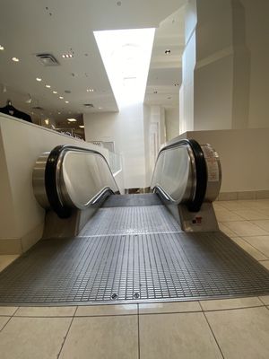 Saks Fifth Avenue by null