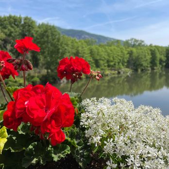 Lake Lure Flowering Bridge - Botanical Gardens Near Me - Lake Lure, North Carolina Lake Lure Flowering Bridge - Botanical Gardens Near Me - Lake Lure, North Carolina