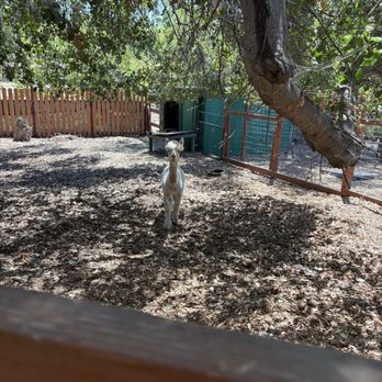 Kindred Spirits Care Farm - Animal Shelters Near Me - Chatsworth, California Kindred Spirits Care Farm - Animal Shelters Near Me - Chatsworth, California
