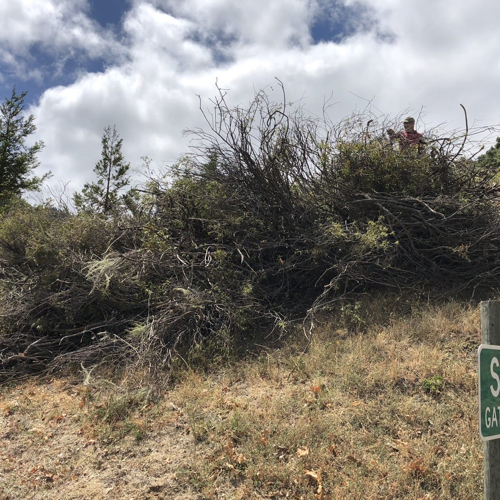 AAA Arbor First - Brush chipping - Tree Services Near Me - Morro Bay, California AAA Arbor First - Brush chipping - Tree Services Near Me - Morro Bay, California
