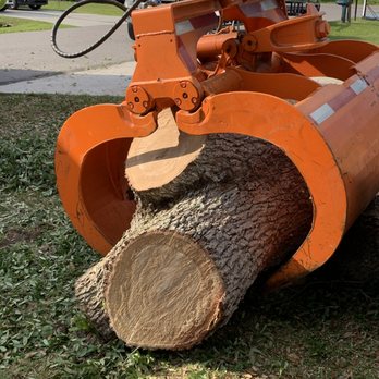 A&M Tree Trimming - Tree Services Near Me - Port Charlotte, Florida A&M Tree Trimming - Tree Services Near Me - Port Charlotte, Florida