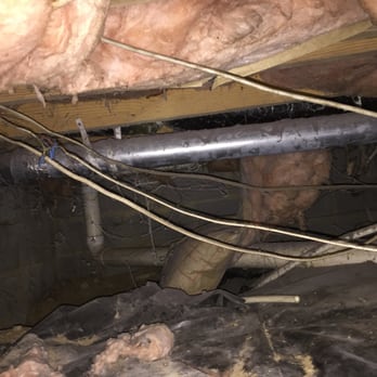 Hampton Roads Termite & Pest Control - Pest Control Near Me - Chesapeake, Virginia Hampton Roads Termite & Pest Control - Pest Control Near Me - Chesapeake, Virginia