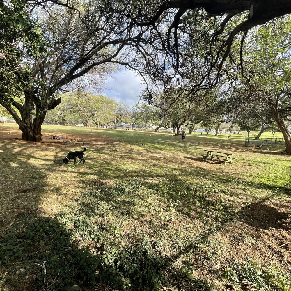 View of the park from the AHA side. View of the park from the AHA side.