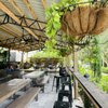 Hop Life Brewing Company gift card