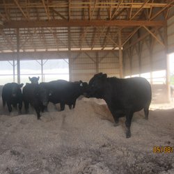 Kaminski Farms Meat