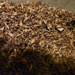 Lake Erie Tobacco - Hard to see all the chunks