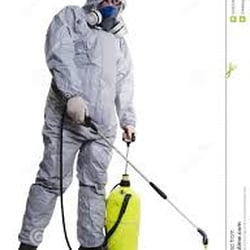 Kona Pest Control