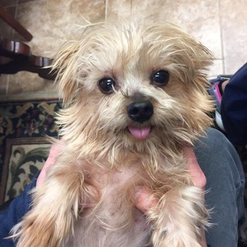 Veterinary Center at Fishhawk - Veterinarians Near Me - Lithia, Florida Veterinary Center at Fishhawk - Veterinarians Near Me - Lithia, Florida