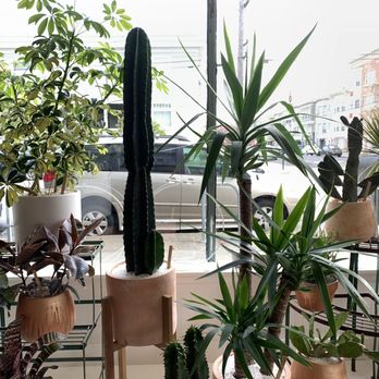 Yonder Shop & Studio - Art Classes Near Me - San Francisco, California Yonder Shop & Studio - Art Classes Near Me - San Francisco, California