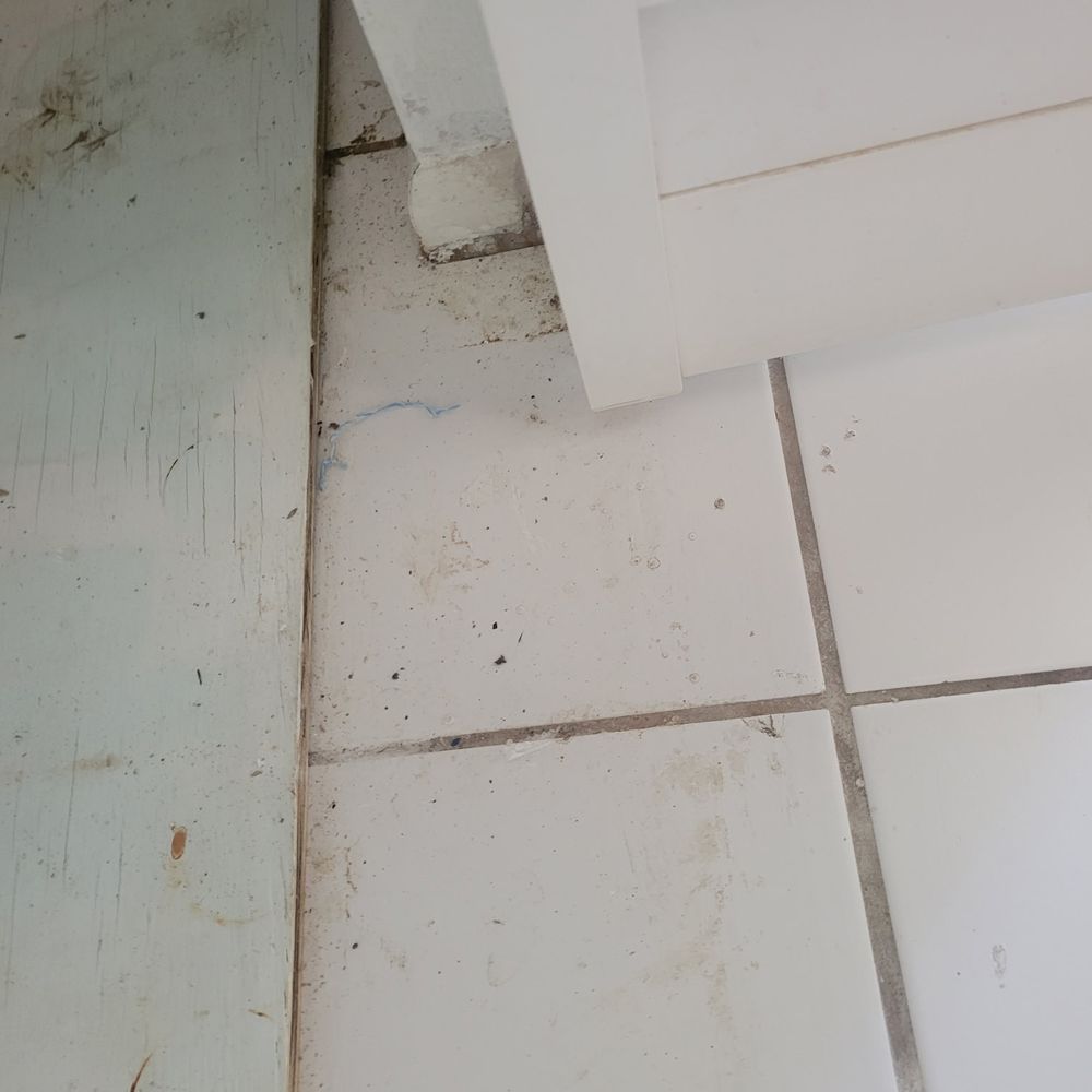 Amara’s Cleaning Solutions - Home Cleaning Near Me - Port Charlotte, Florida Amara’s Cleaning Solutions - Home Cleaning Near Me - Port Charlotte, Florida
