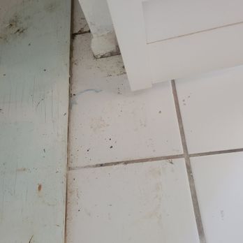 Amara’s Cleaning Solutions - Home Cleaning Near Me - Port Charlotte, Florida Amara’s Cleaning Solutions - Home Cleaning Near Me - Port Charlotte, Florida