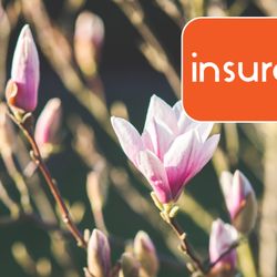 Primeco Insurance - Primeco Insurance offers Small Business options for all Georgia business owners including Workers Compensation, General Liab...