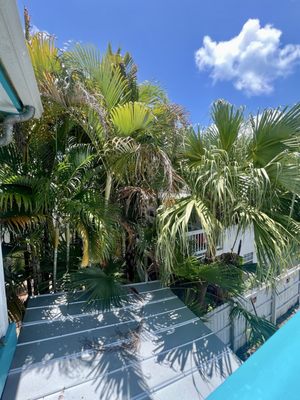Caribbean House by null