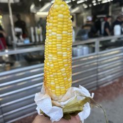 Lake County Fair