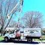 Photo of All Seasons Tree Service