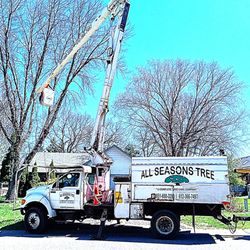 All Seasons Tree Service