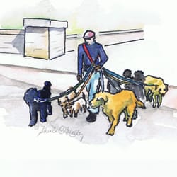 Summit Pet Sitting, Inc.