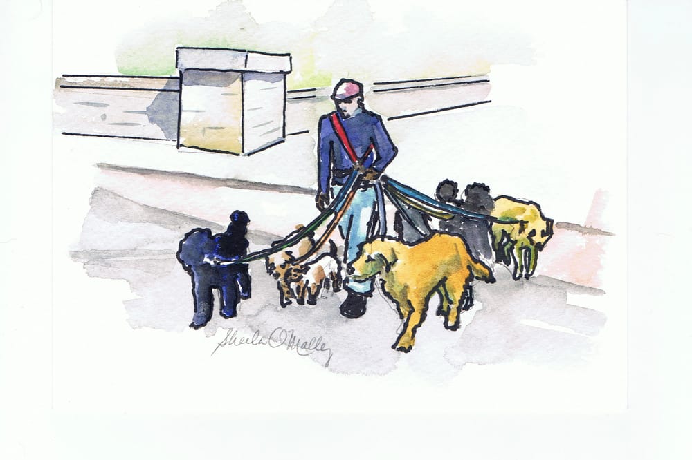 Summit Pet Sitting, Inc. - pet boarding facility in Cumberland, RI