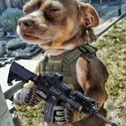 The Gun Site Range - TOUGHIE says "the Gunsite is the place to hone your skills"