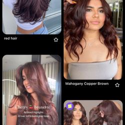 The Beauty Lab - The inspo pics I showed.