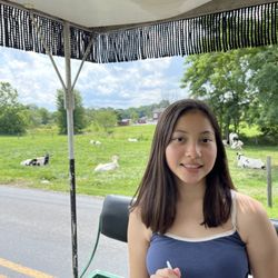 Abe's Buggy Rides - Homemade ice cream made from local dairy cows
