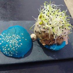 La Belli - Mini hamburguesa de atun con mayonesa de soja