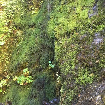 Buckhorn Campground - Dried up "waterfall" - Campgrounds Near Me - Arcadia, California