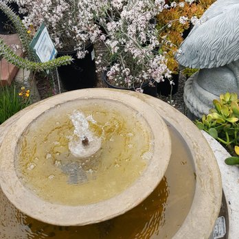 Andersons La Costa Nursery - Nurseries & Gardening Near Me - Encinitas, California Andersons La Costa Nursery - Nurseries & Gardening Near Me - Encinitas, California