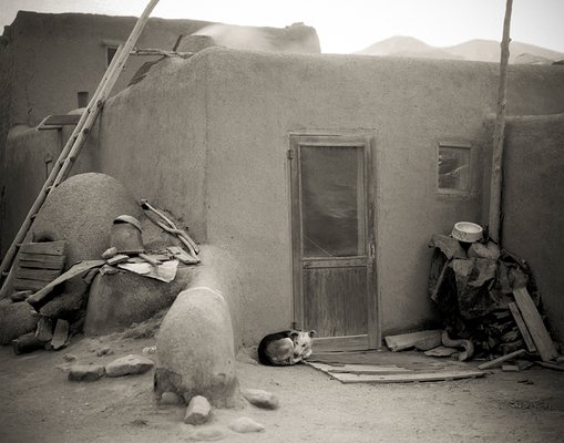 Edition ONE Gallery by null