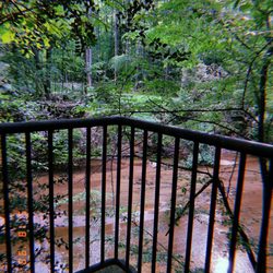 Hahn Woods - Viewing area