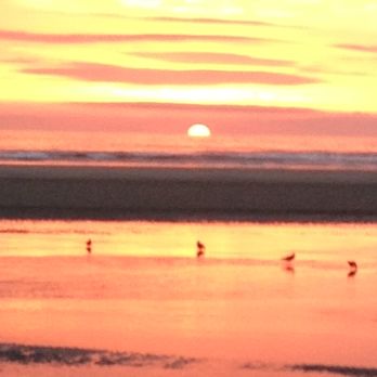 Schooner's Cove Inn - Hotels Near Me - Cannon Beach, Oregon Schooner's Cove Inn - Hotels Near Me - Cannon Beach, Oregon