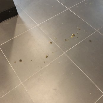 IMT 5700 - Stepped in Dog feces by the elevator pt.2 - Apartments Near Me - Sherman Oaks, California IMT 5700 - Stepped in Dog feces by the elevator pt.2 - Apartments Near Me - Sherman Oaks, California