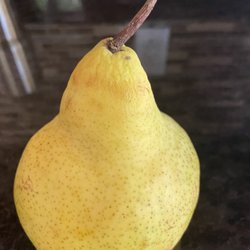 Pear I bought from Wegmans on 7/31