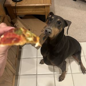 FASANO’S PIZZA - Updated August 2025 - 32 Photos & 195 Reviews - 8351 S ...