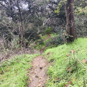 Michael D. Antonovich Trail - Hiking Near Me - San Dimas, California