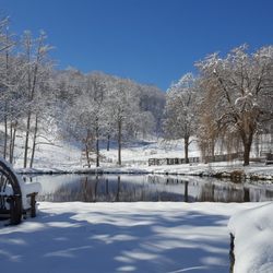 Walnut Hollow Ranch