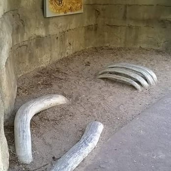 Cameron Park Zoo - Zoos Near Me - Waco, Texas