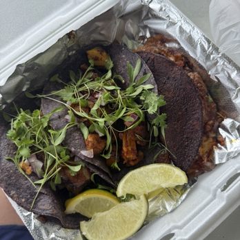Casa Masa - 3 tacos: pork belly, al pastor, birria - Mexican Near Me - Sarasota, Florida