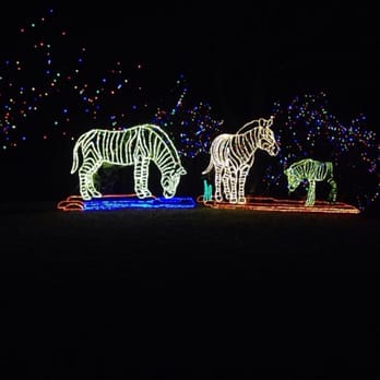 Denver Zoo Lights - Festivals Near Me - Denver, Colorado Denver Zoo Lights - Festivals Near Me - Denver, Colorado