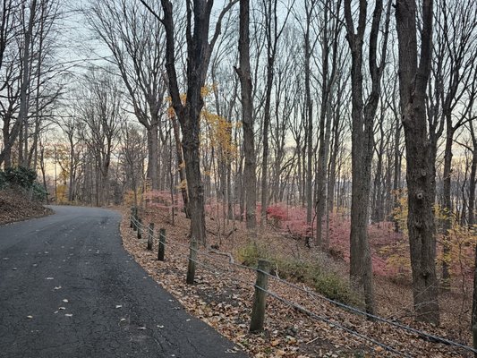 East Rock Park by null