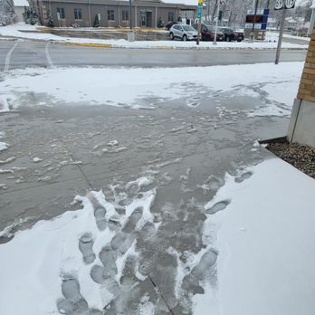 Overgrown Lawn Care & Clean-Up - Fresh snow + Freshly poured concrete = Just Shovels for today! - Landscaping Near Me Overgrown Lawn Care & Clean-Up - Fresh snow + Freshly poured concrete = Just Shovels for today! - Landscaping Near Me