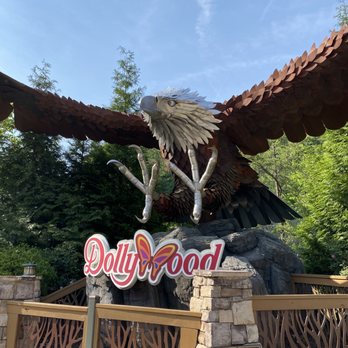 Dollywood - Wild eagle ride - Amusement Parks Near Me - Pigeon Forge, Tennessee