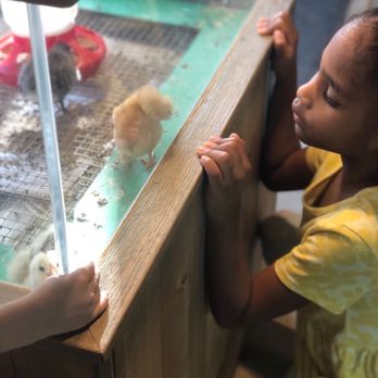 Children's Museum - Children's Museums Near Me - Houston, Texas Children's Museum - Children's Museums Near Me - Houston, Texas