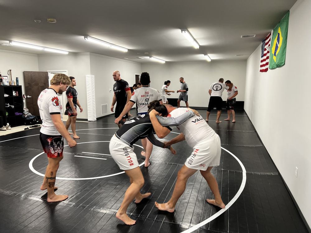 Valley Brazilian Jiu Jitsu Logo