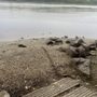 Boat Launch
