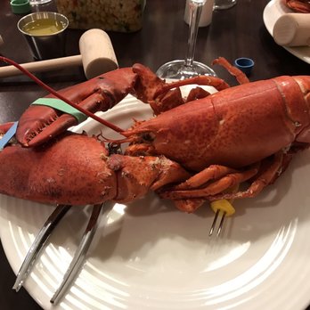 Lobster Maine-ia - Freshly steamed from Lobster Maine- - Seafood Markets Near Me - Chantilly, Virginia