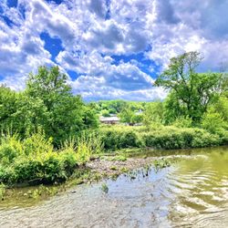 Chester Creek Trail - Chester Creek Trail