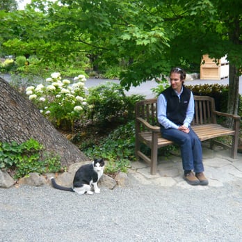 Schramsberg Vineyards - Winery cat and bench for pre-tour relaxation. - Wineries Near Me - Calistoga, California Schramsberg Vineyards - Winery cat and bench for pre-tour relaxation. - Wineries Near Me - Calistoga, California