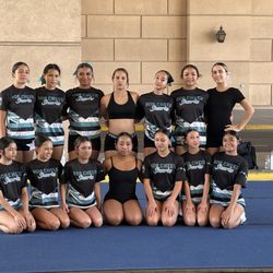 808 Cheer Sharks